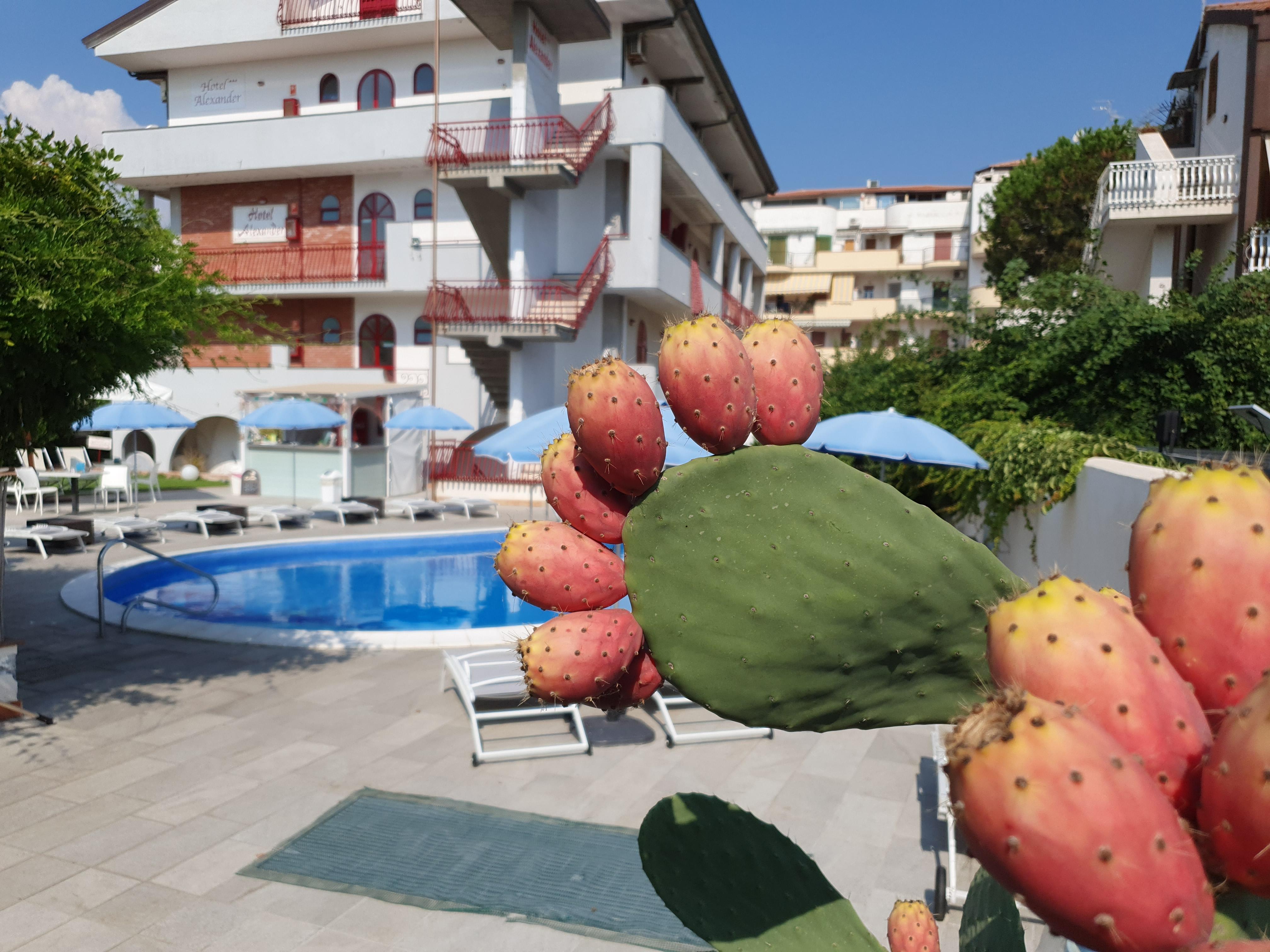 Hotel Alexander Giardini Naxos Ngoại thất bức ảnh